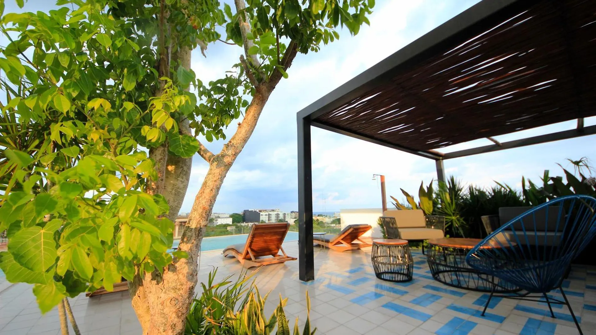 Studio At Best Location, Enchanting Roof Top With Infinity Pool Πλάγια Ντελ Κάρμεν